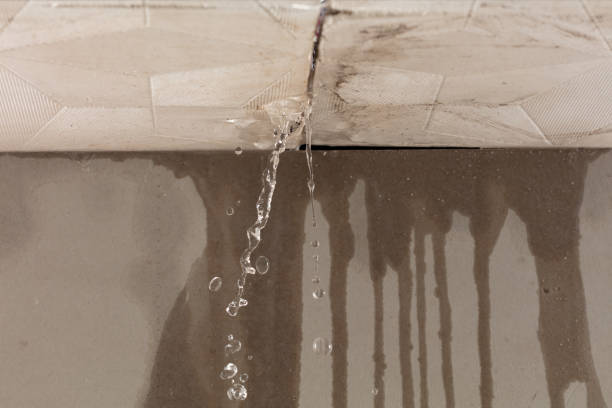 Professional Water Extraction technician working in Tiger, GA